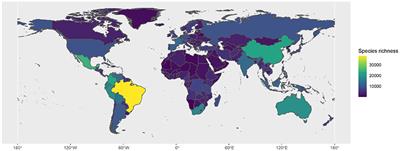 Editorial: Temporal and Large-Scale Spatial Patterns of Plant Diversity and Diversification